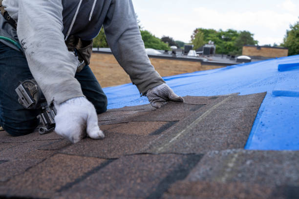 Best New Roof Installation  in Conning Towers Nautilus Park, CT